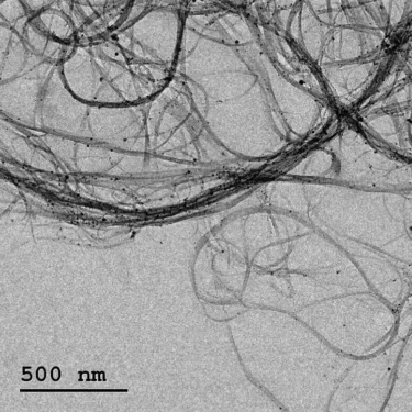 Single Walled Carbon Nanotubes